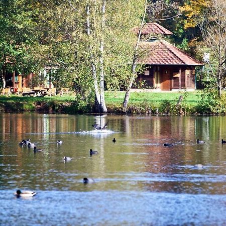 Seen- Und Felsenland Ludwigswinkel Exteriér fotografie