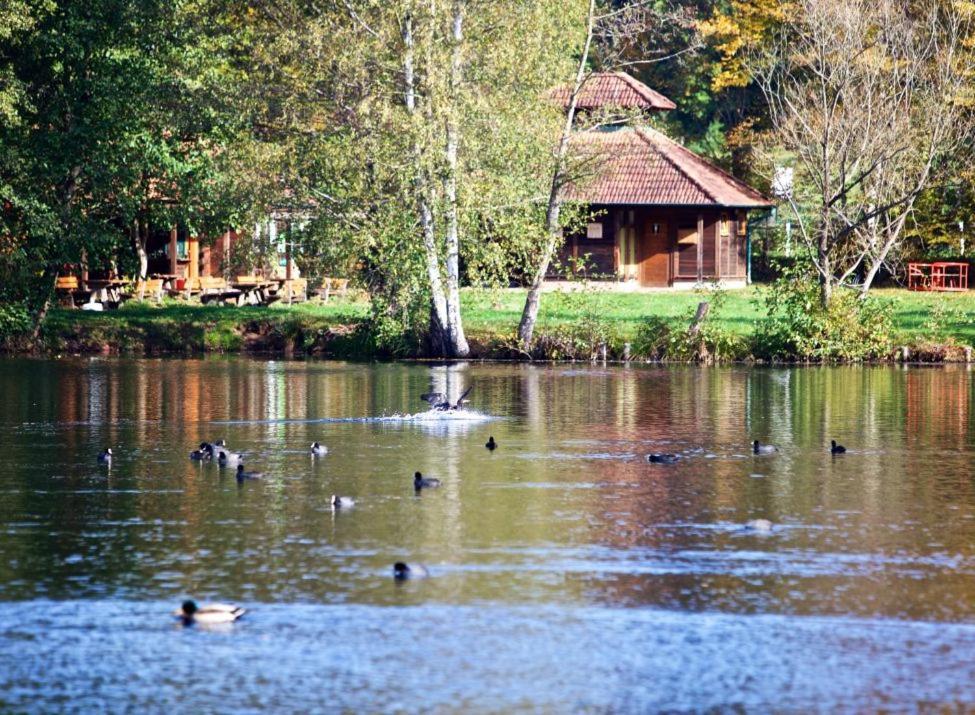Seen- Und Felsenland Ludwigswinkel Exteriér fotografie